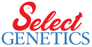 Select Genetics